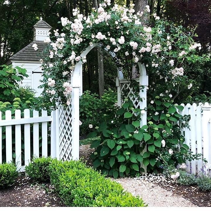 Down the Garden Path